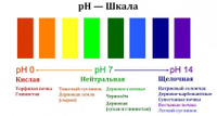 Поточная линия "Диметрон" для определения pH в почвенных растворах