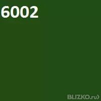 Рал 6002 какой цвет фото