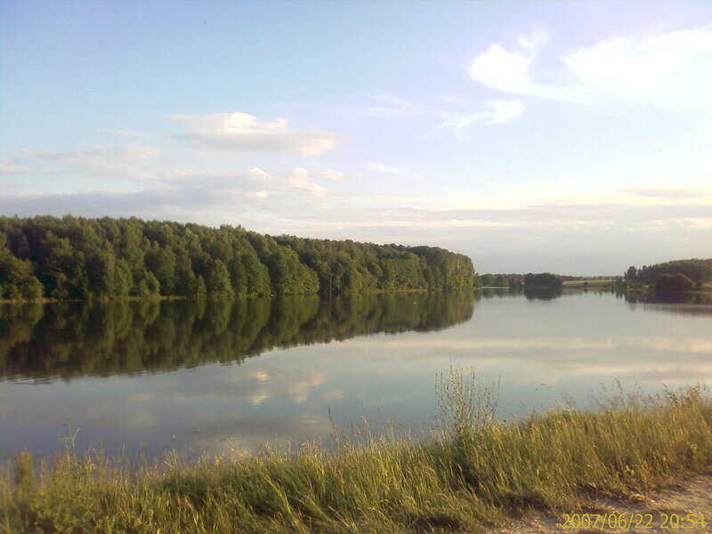 Село точное. Д Васьково Ступинский район. Московская область Ступинский район деревня Васьково. Васьково Ступинский район пруд. Деревня Васьково.