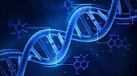 Генетический тест Витамины (10 генов)