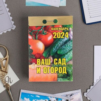 Календарь Атберг98 Календарь отрывной "Ваш сад и огород" 2024 год, 7,7х11,4 см