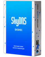 SkyDNS Бизнес. 100 лицензий на 1 год (SKY_Bsn_100)