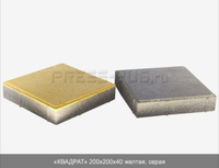 Тротуарная плитка Квадрат 200x200x60 мм Серый
