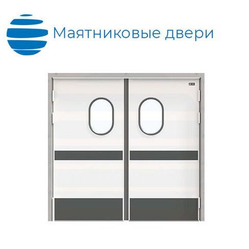 Двустворчатые маятниковые двери RAL 9003 2600х2500