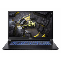 Ноутбук HASEE G8R9 G8R9 (17.3", Core i9 13900H, 16Gb/ SSD 1000Gb, GeForce® RTX 4060 для ноутбуков) Черный